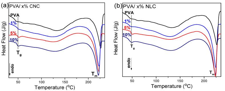 https://cdn.ncbi.nlm.nih.gov/pmc/blobs/20d6/12299579/4b804b473912/polymers-17-01911-g006.jpg