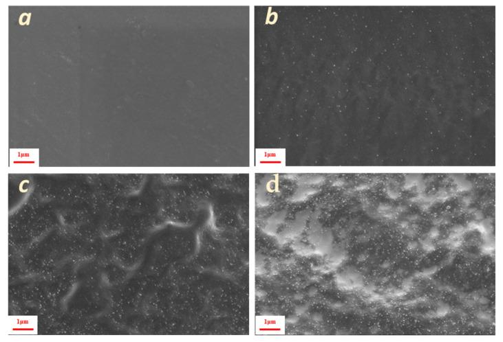 https://cdn.ncbi.nlm.nih.gov/pmc/blobs/20d6/12299579/7606eb44c913/polymers-17-01911-g002.jpg