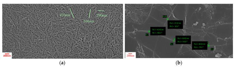 https://cdn.ncbi.nlm.nih.gov/pmc/blobs/20d6/12299579/923a929aa01e/polymers-17-01911-g001.jpg