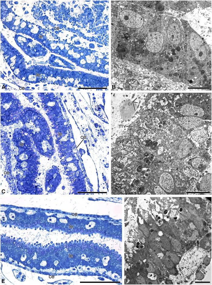 https://cdn.ncbi.nlm.nih.gov/pmc/blobs/20d6/5533335/d57452e2362d/pone.0182001.g011.jpg