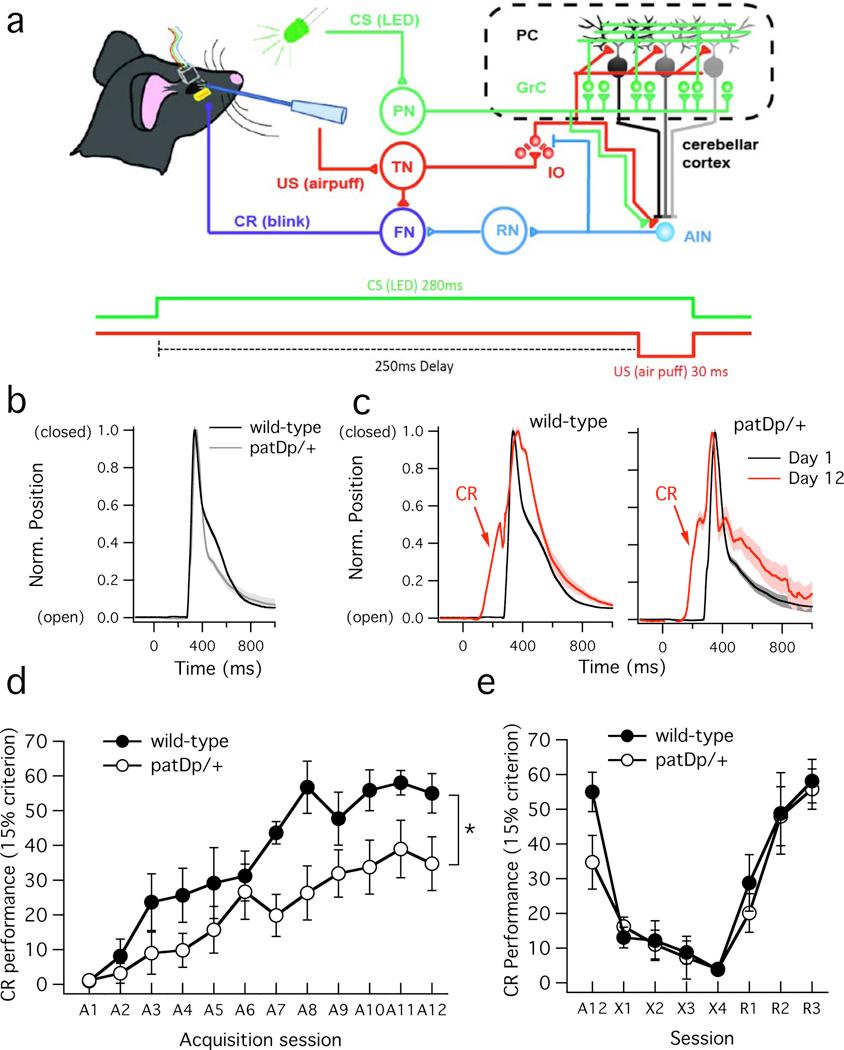 https://cdn.ncbi.nlm.nih.gov/pmc/blobs/20d7/4243533/35b856ca4b22/nihms636731f3.jpg