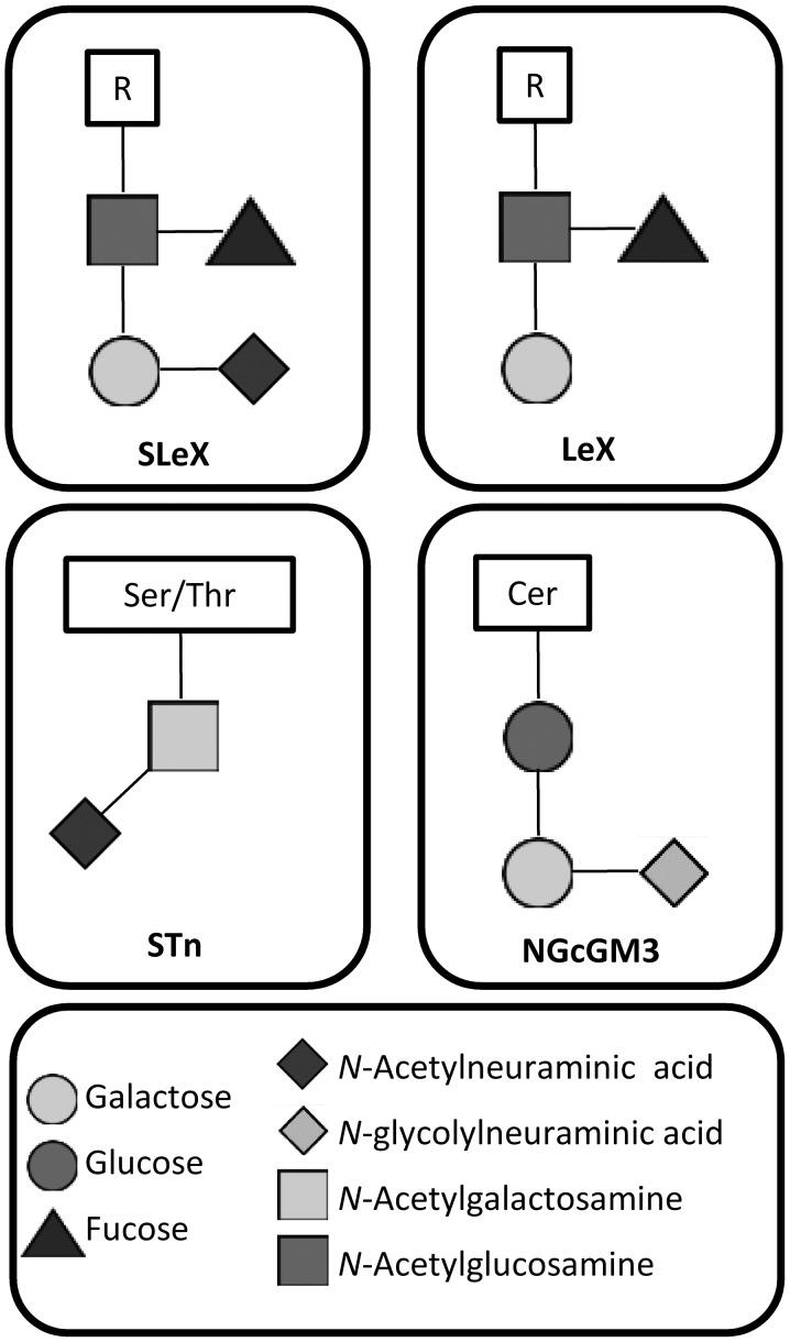 https://cdn.ncbi.nlm.nih.gov/pmc/blobs/20d8/6396118/cc6203093ba4/ol-17-03-3141-g00.jpg