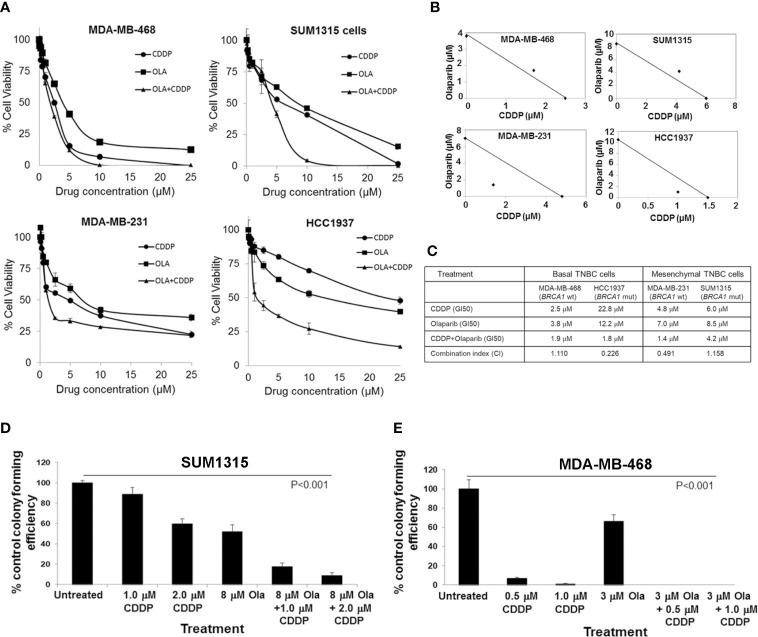 https://cdn.ncbi.nlm.nih.gov/pmc/blobs/20d8/8339968/5f1dc668ffa2/fonc-11-694793-g001.jpg