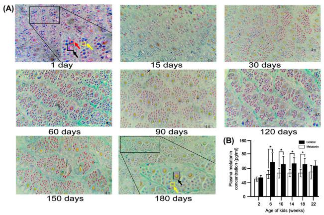 https://cdn.ncbi.nlm.nih.gov/pmc/blobs/20d9/11988770/e9b2de81bddb/ijms-26-02844-g004.jpg