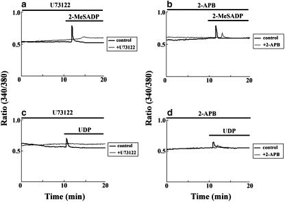 https://cdn.ncbi.nlm.nih.gov/pmc/blobs/20dc/2583206/b5186ac2b0e3/11302_2008_9122_Fig4_HTML.jpg