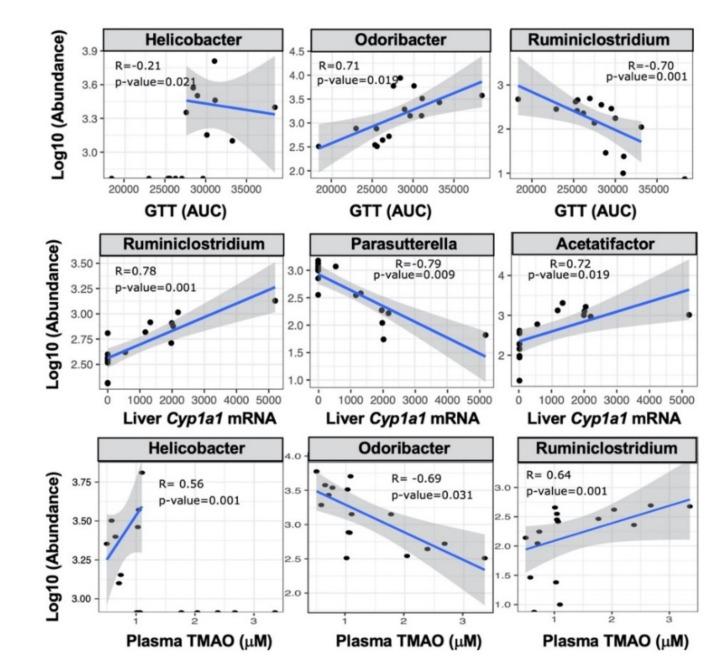 https://cdn.ncbi.nlm.nih.gov/pmc/blobs/20dd/9029240/04f4e3f7774e/metabolites-12-00364-g007.jpg