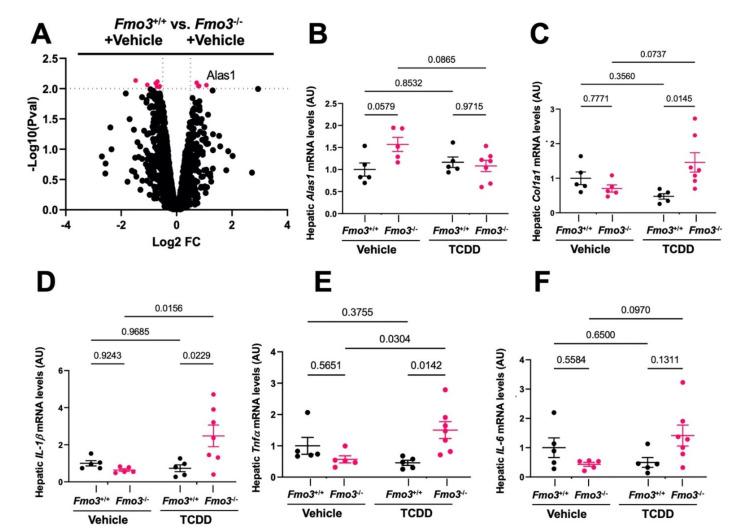 https://cdn.ncbi.nlm.nih.gov/pmc/blobs/20dd/9029240/4e449fe91b18/metabolites-12-00364-g004.jpg