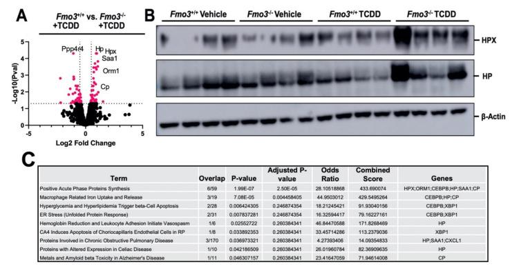 https://cdn.ncbi.nlm.nih.gov/pmc/blobs/20dd/9029240/68f59a2b5aac/metabolites-12-00364-g003.jpg