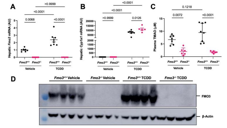https://cdn.ncbi.nlm.nih.gov/pmc/blobs/20dd/9029240/8a566b7b9cbc/metabolites-12-00364-g008.jpg