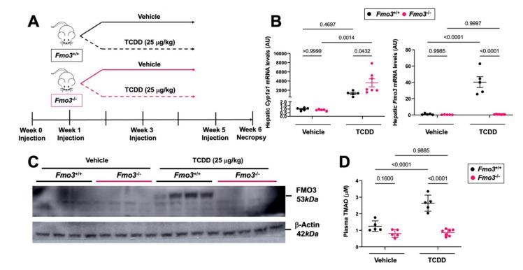 https://cdn.ncbi.nlm.nih.gov/pmc/blobs/20dd/9029240/c1b21932d196/metabolites-12-00364-g001.jpg