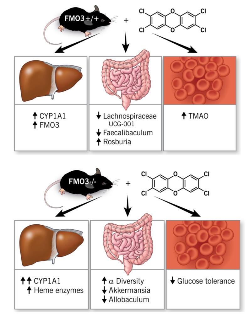 https://cdn.ncbi.nlm.nih.gov/pmc/blobs/20dd/9029240/d6558d4fa315/metabolites-12-00364-g010.jpg