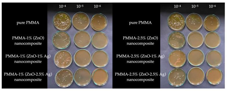 https://cdn.ncbi.nlm.nih.gov/pmc/blobs/20df/11677632/069c2fcf0db0/polymers-16-03512-g005.jpg