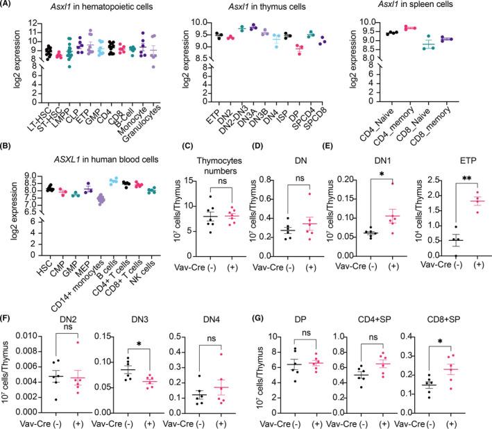 https://cdn.ncbi.nlm.nih.gov/pmc/blobs/20df/8990791/5443dd522e8d/CAS-113-1182-g001.jpg