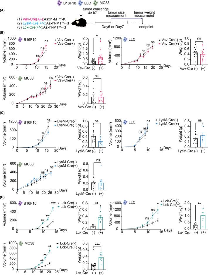 https://cdn.ncbi.nlm.nih.gov/pmc/blobs/20df/8990791/7408ad5d94c1/CAS-113-1182-g005.jpg