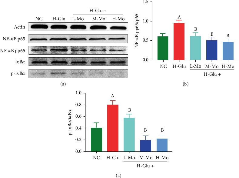 https://cdn.ncbi.nlm.nih.gov/pmc/blobs/20e0/12213039/5c4707b9b14e/JDR2025-5291562.005.jpg
