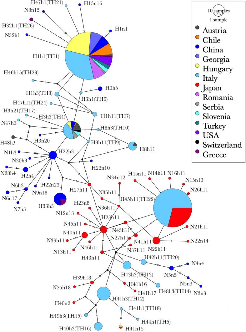 https://cdn.ncbi.nlm.nih.gov/pmc/blobs/20e0/7885415/f5ee7507ae92/12863_2021_961_Fig6_HTML.jpg