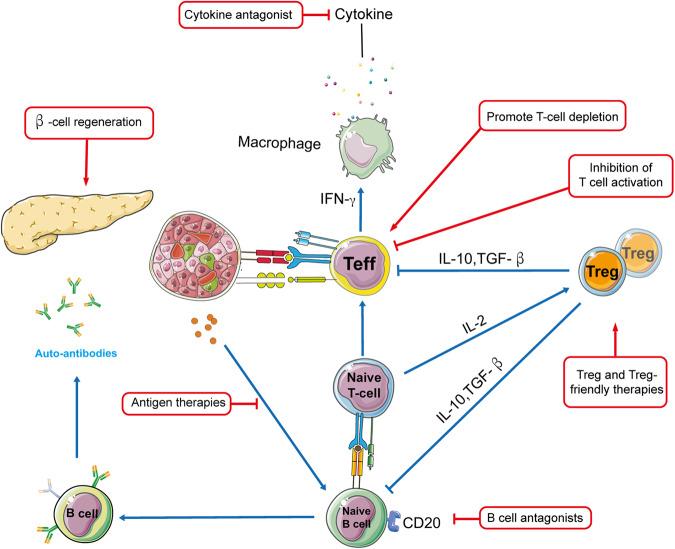 https://cdn.ncbi.nlm.nih.gov/pmc/blobs/20e6/10943205/2665b9af9a8a/41401_2023_1207_Fig5_HTML.jpg