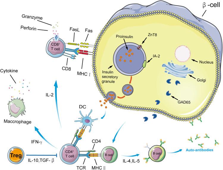 https://cdn.ncbi.nlm.nih.gov/pmc/blobs/20e6/10943205/becd026110e5/41401_2023_1207_Fig4_HTML.jpg