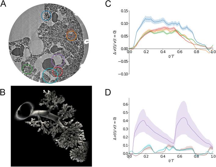 https://cdn.ncbi.nlm.nih.gov/pmc/blobs/20e6/8942986/edb0eea6d2f0/41598_2022_9052_Fig3_HTML.jpg