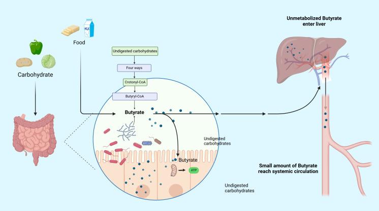 https://cdn.ncbi.nlm.nih.gov/pmc/blobs/20ea/11521846/968c0420dfca/fimmu-15-1475529-g001.jpg