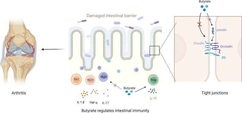 https://cdn.ncbi.nlm.nih.gov/pmc/blobs/20ea/11521846/e47de65ff409/fimmu-15-1475529-g002.jpg