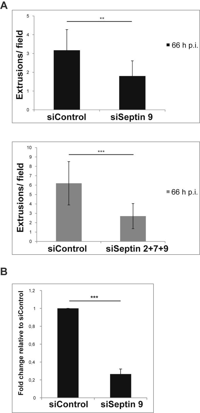 https://cdn.ncbi.nlm.nih.gov/pmc/blobs/20ea/4196233/9392bf9062d3/mbo0051420130006.jpg