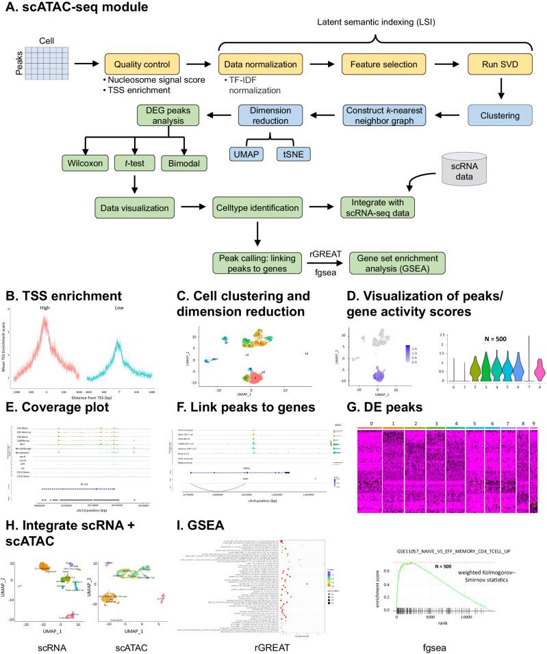 https://cdn.ncbi.nlm.nih.gov/pmc/blobs/20eb/11222513/3b64900a870e/41467_2024_48188_Fig7_HTML.jpg