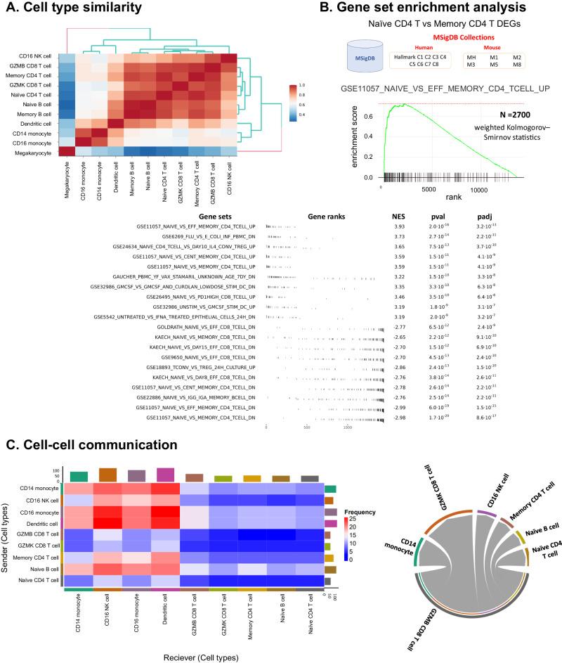 https://cdn.ncbi.nlm.nih.gov/pmc/blobs/20eb/11222513/3c1a97d5b965/41467_2024_48188_Fig3_HTML.jpg