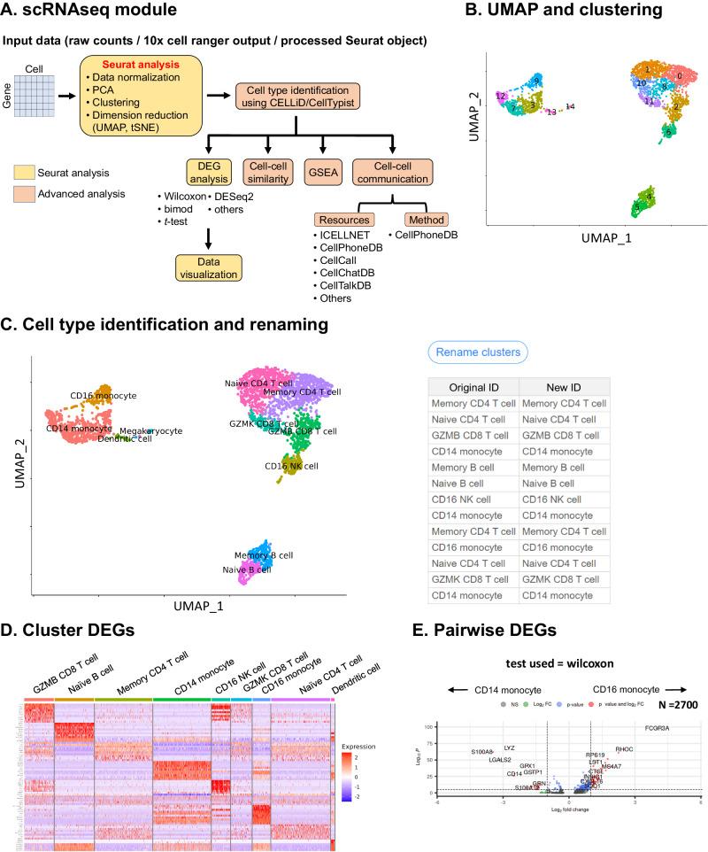 https://cdn.ncbi.nlm.nih.gov/pmc/blobs/20eb/11222513/a87561d7eeeb/41467_2024_48188_Fig2_HTML.jpg