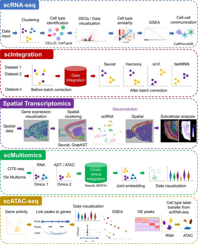 https://cdn.ncbi.nlm.nih.gov/pmc/blobs/20eb/11222513/f85d919f31b3/41467_2024_48188_Fig1_HTML.jpg