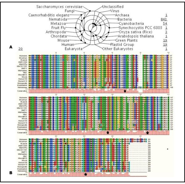 https://cdn.ncbi.nlm.nih.gov/pmc/blobs/20eb/3072309/a41b7cf174ff/1472-6807-11-16-1.jpg