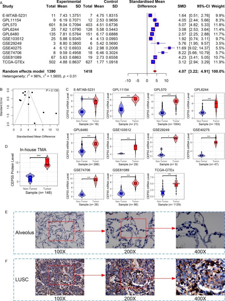 https://cdn.ncbi.nlm.nih.gov/pmc/blobs/20ec/10182662/13fb31e1c48f/12890_2023_2452_Fig8_HTML.jpg