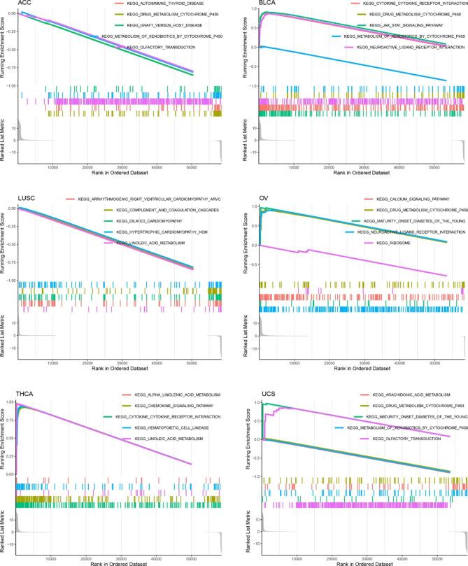 https://cdn.ncbi.nlm.nih.gov/pmc/blobs/20ec/10182662/2960ed23f1a7/12890_2023_2452_Fig7_HTML.jpg