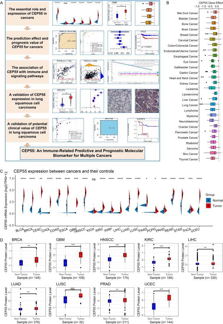 https://cdn.ncbi.nlm.nih.gov/pmc/blobs/20ec/10182662/833a258b926d/12890_2023_2452_Fig1_HTML.jpg