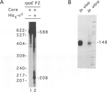 https://cdn.ncbi.nlm.nih.gov/pmc/blobs/20ed/398175/5f15e9493f04/emboj00029-0187-a.jpg