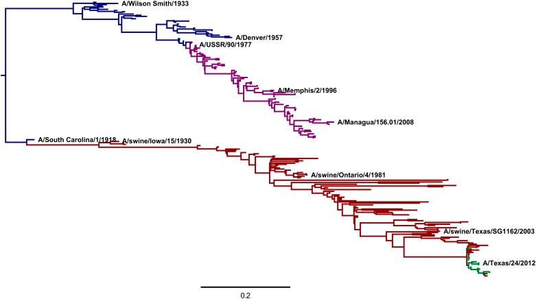 https://cdn.ncbi.nlm.nih.gov/pmc/blobs/20ed/4109307/1f6c9a1cf2df/elife03300fs006.jpg