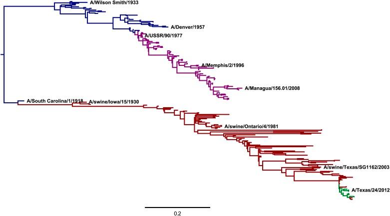 https://cdn.ncbi.nlm.nih.gov/pmc/blobs/20ed/4109307/aea1960ae7c9/elife03300f008.jpg