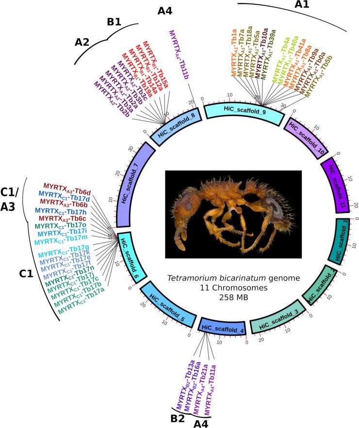 https://cdn.ncbi.nlm.nih.gov/pmc/blobs/20f1/10800049/28649c3a4217/12864_2024_10012_Fig1_HTML.jpg