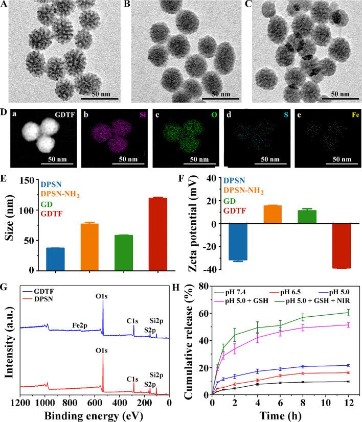 https://cdn.ncbi.nlm.nih.gov/pmc/blobs/20f2/11163783/0ff1285e8e02/12951_2024_2588_Fig2_HTML.jpg