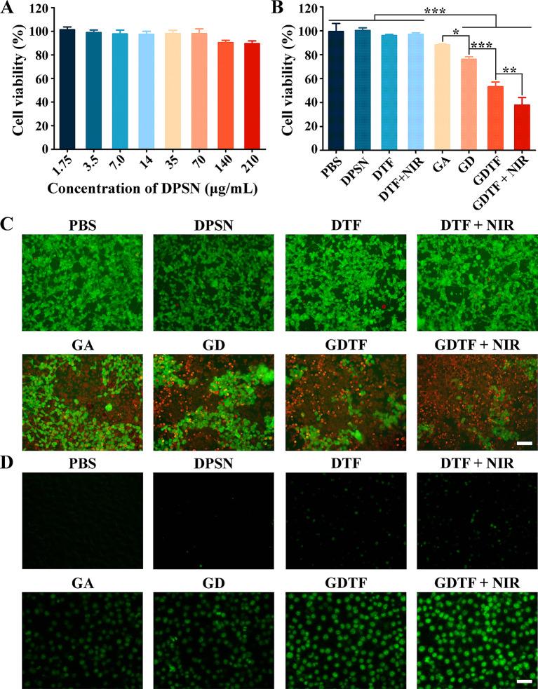 https://cdn.ncbi.nlm.nih.gov/pmc/blobs/20f2/11163783/9aa7cfa259a4/12951_2024_2588_Fig5_HTML.jpg