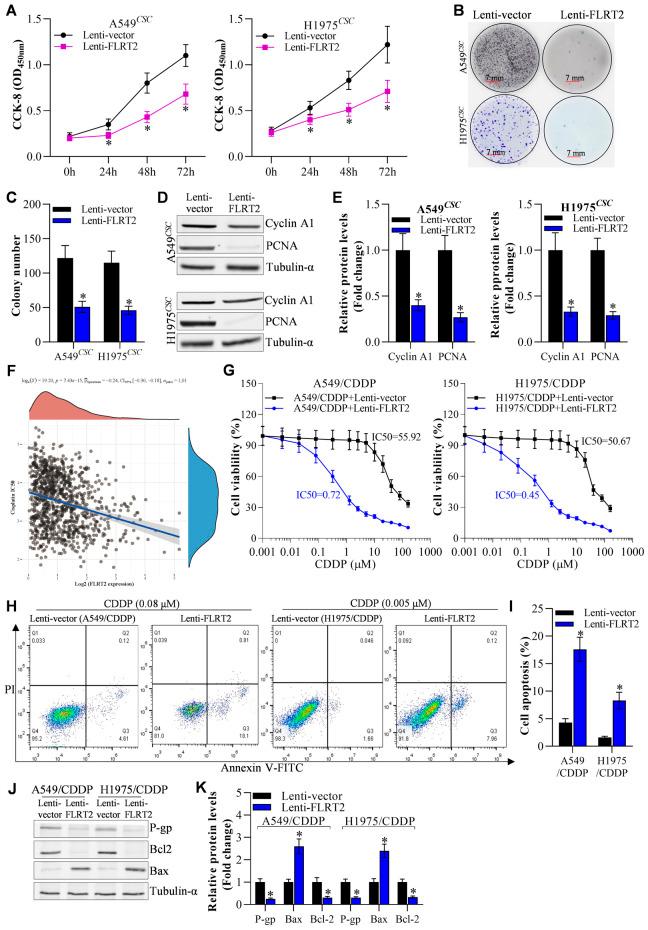 https://cdn.ncbi.nlm.nih.gov/pmc/blobs/20f2/11496253/d2d7da13e170/fphar-15-1459978-g003.jpg