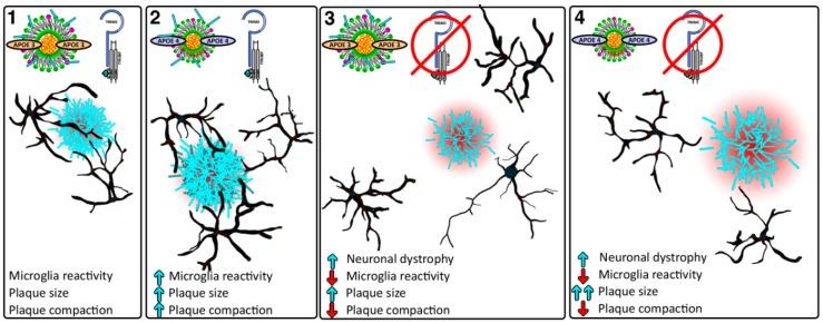https://cdn.ncbi.nlm.nih.gov/pmc/blobs/20f2/6337314/69265d25a761/ijms-20-00081-g003.jpg