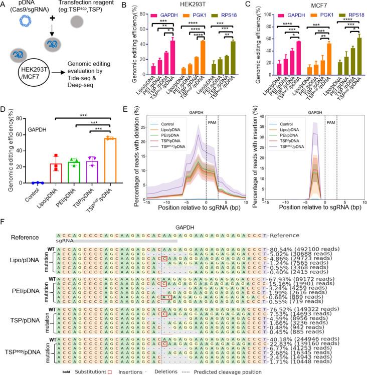 https://cdn.ncbi.nlm.nih.gov/pmc/blobs/20f3/11127455/f6d7d6003de1/12951_2024_2554_Fig5_HTML.jpg