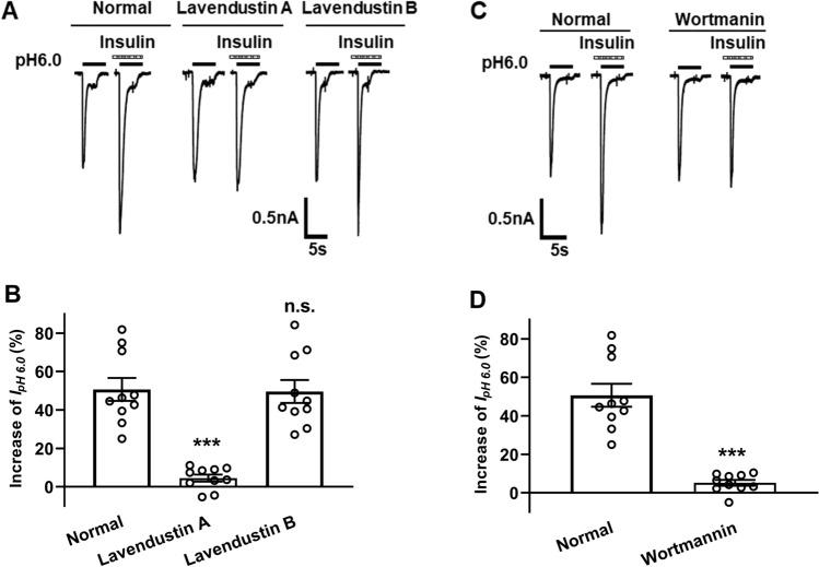 https://cdn.ncbi.nlm.nih.gov/pmc/blobs/20f3/11300854/75cbaca0dec2/41598_2024_69139_Fig4_HTML.jpg
