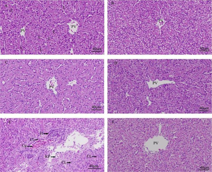 https://cdn.ncbi.nlm.nih.gov/pmc/blobs/20f5/11017357/025e03fbeaa9/gr1.jpg