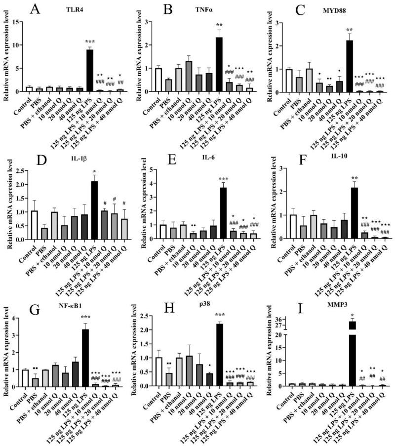 https://cdn.ncbi.nlm.nih.gov/pmc/blobs/20f5/11017357/1aef45647e38/gr2.jpg