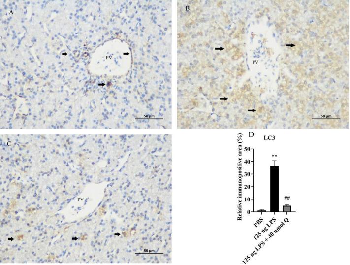 https://cdn.ncbi.nlm.nih.gov/pmc/blobs/20f5/11017357/66c7ffd3d536/gr6.jpg