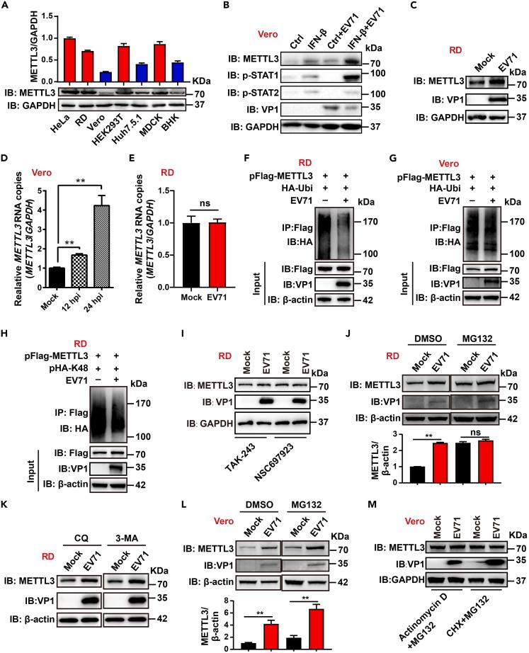 https://cdn.ncbi.nlm.nih.gov/pmc/blobs/20f6/11700651/003f8eedd5e9/gr1.jpg