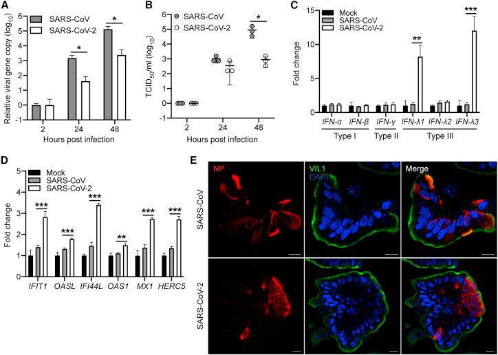 https://cdn.ncbi.nlm.nih.gov/pmc/blobs/20f6/7940440/35210878e05d/gr5.jpg