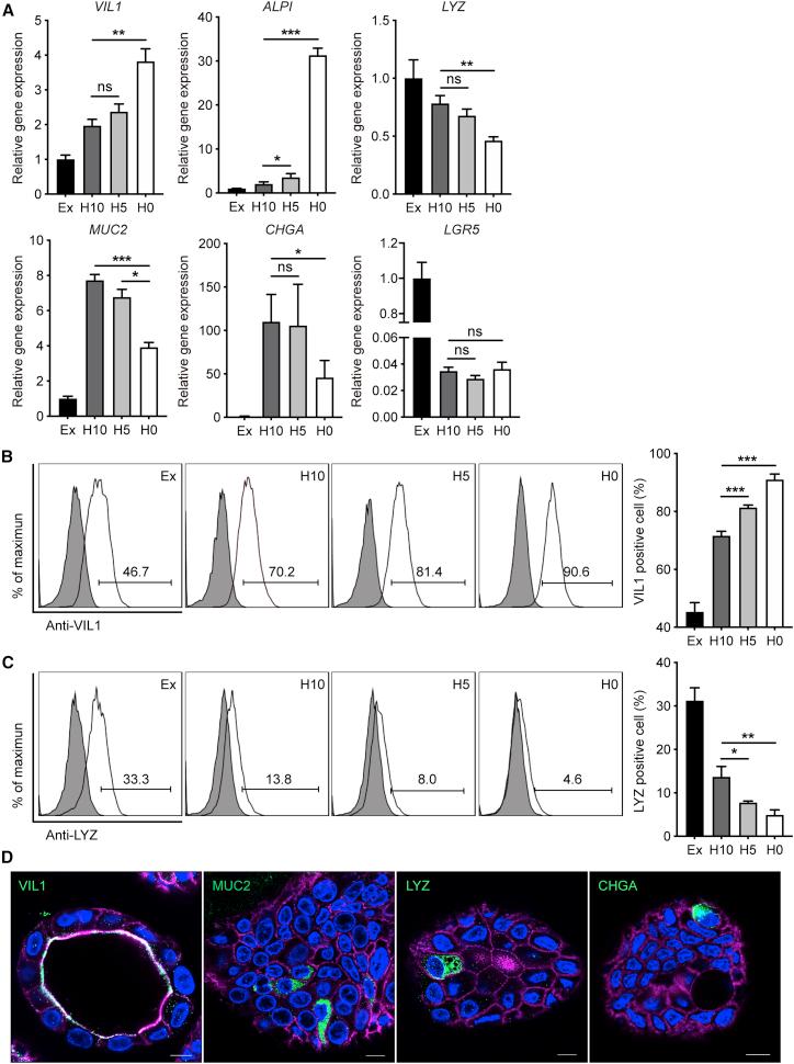 https://cdn.ncbi.nlm.nih.gov/pmc/blobs/20f6/7940440/509cbf8176e0/gr1.jpg